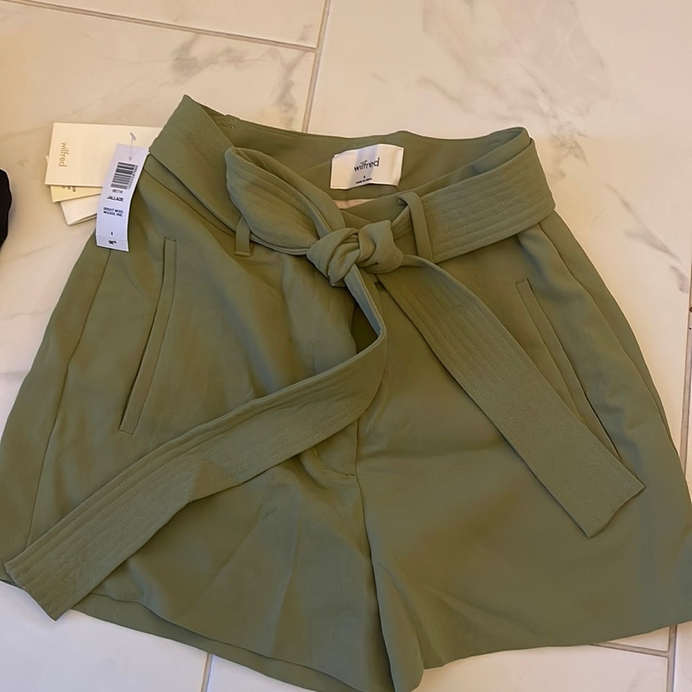 new shorts from aritzia with tag